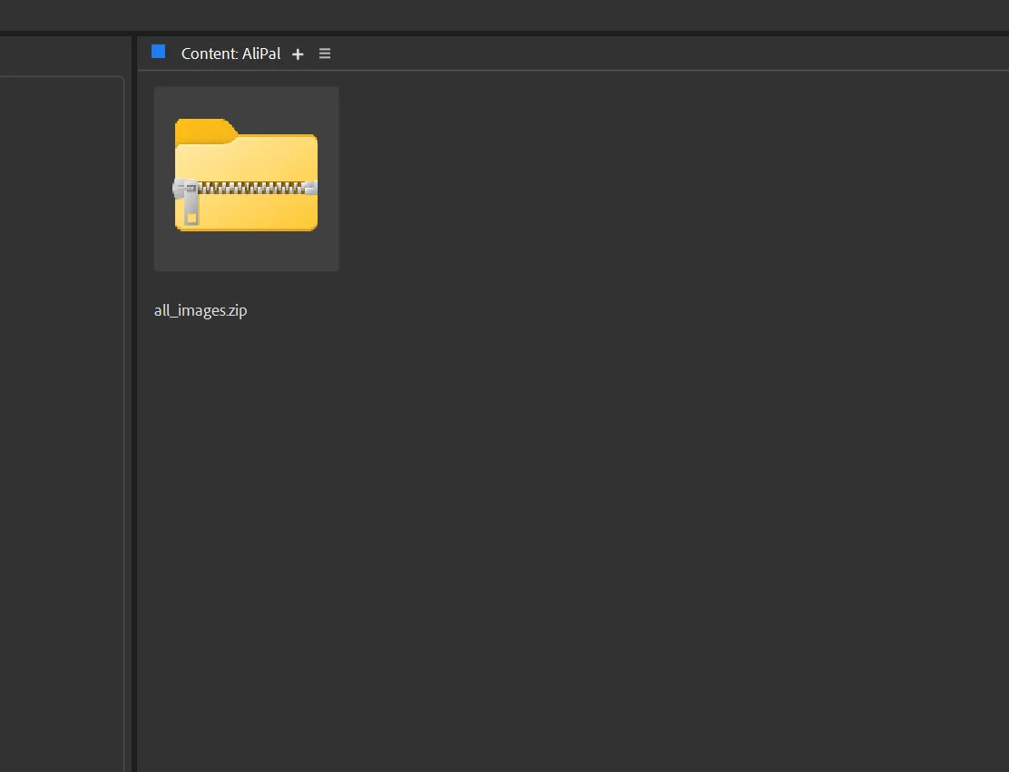 ZIP file